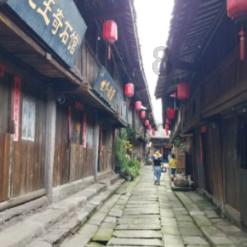 救援小蝙蝠